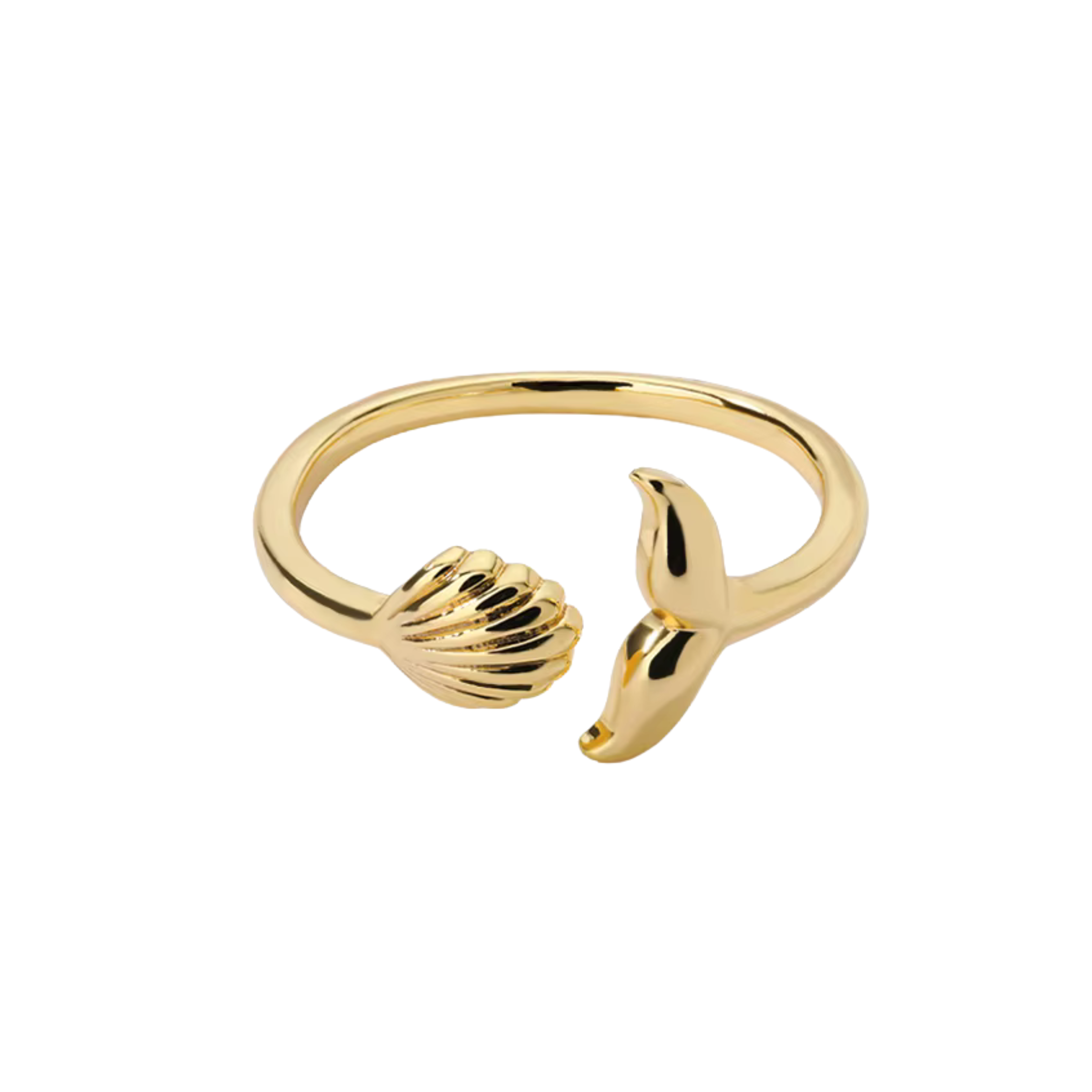 Anillo Minke