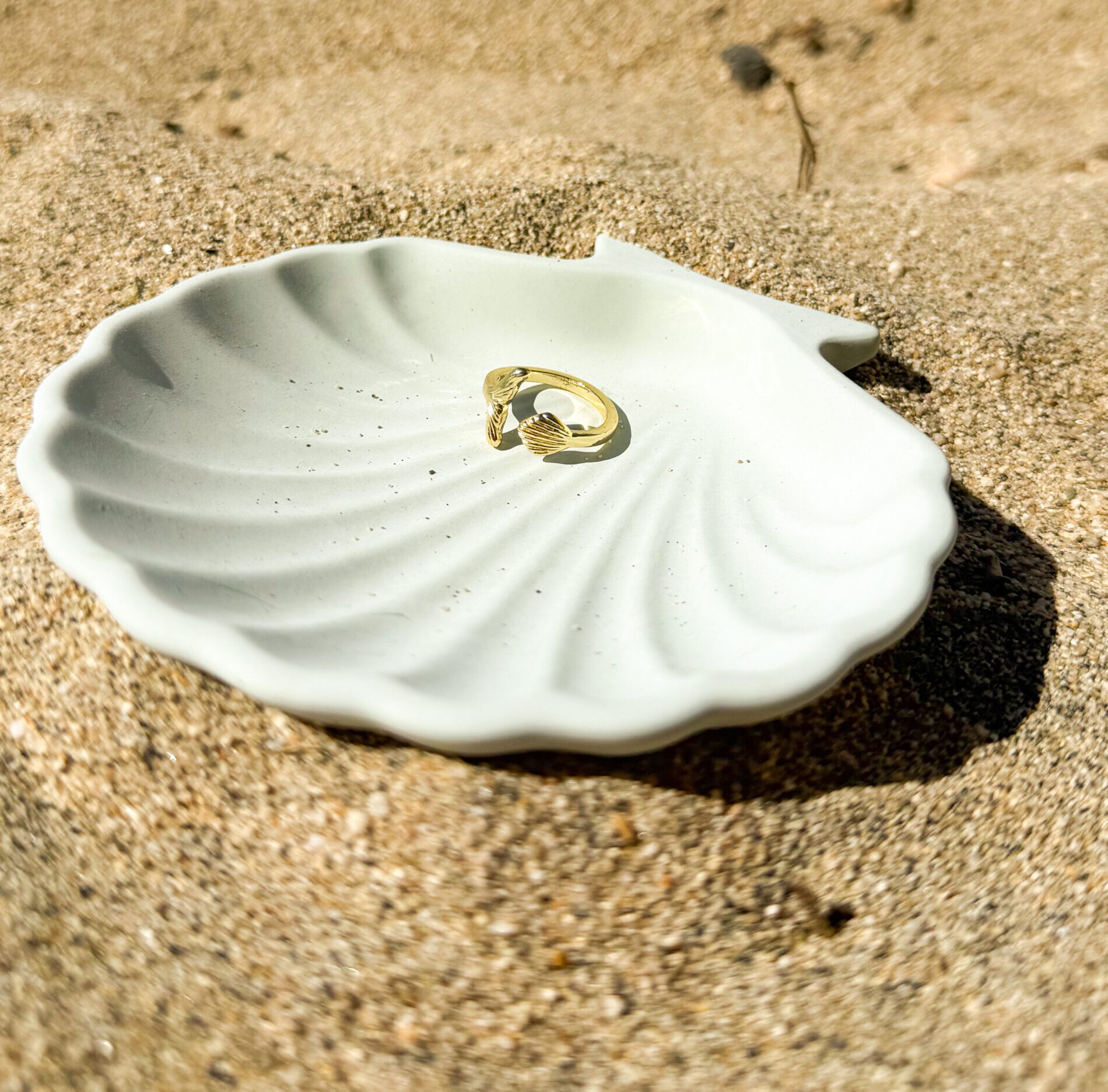 Anillo Minke